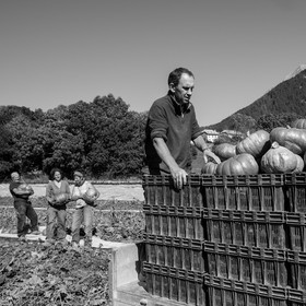 dlebioda-03102016-L1174496.jpg