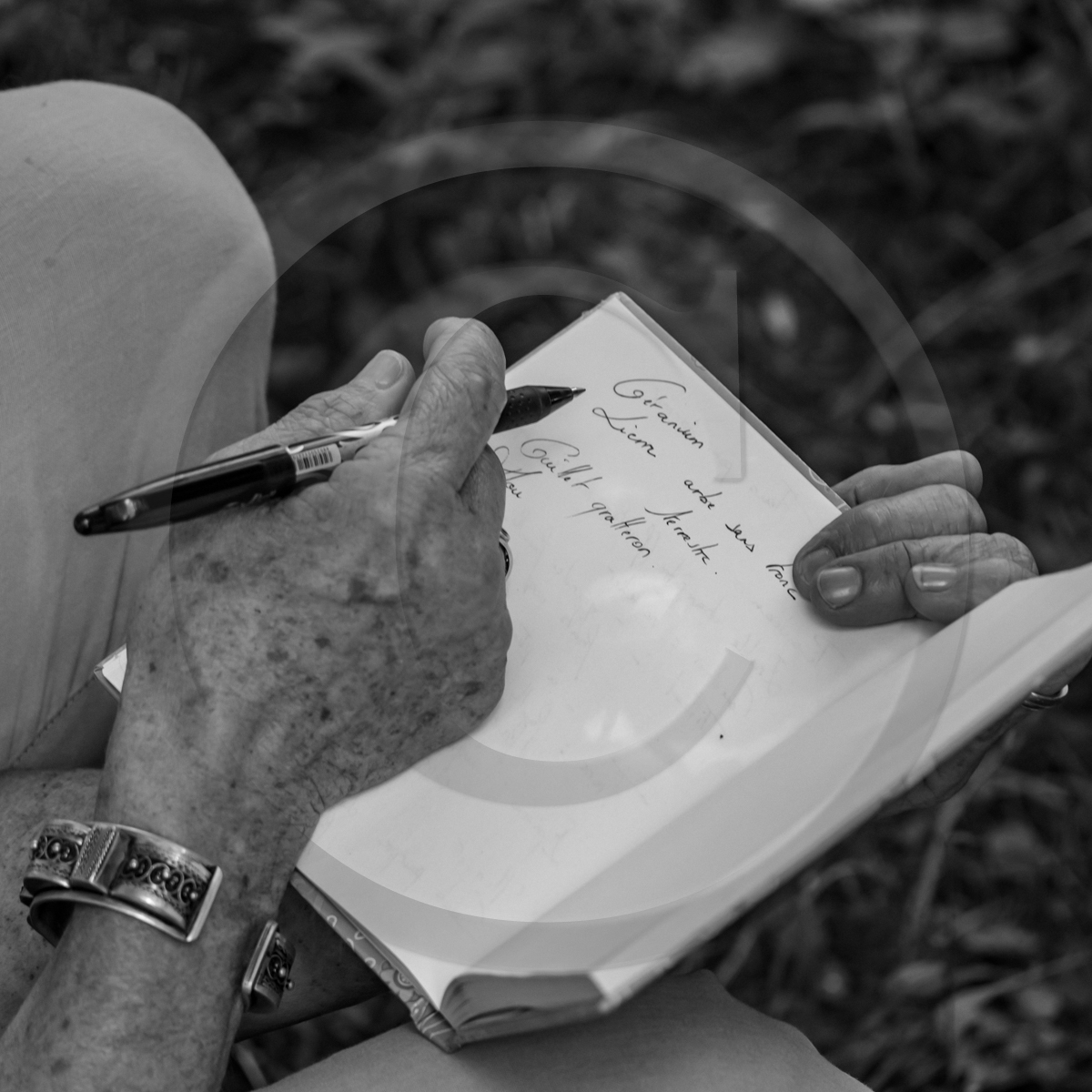 29 juin 2022 : Découverte des plantes sauvages