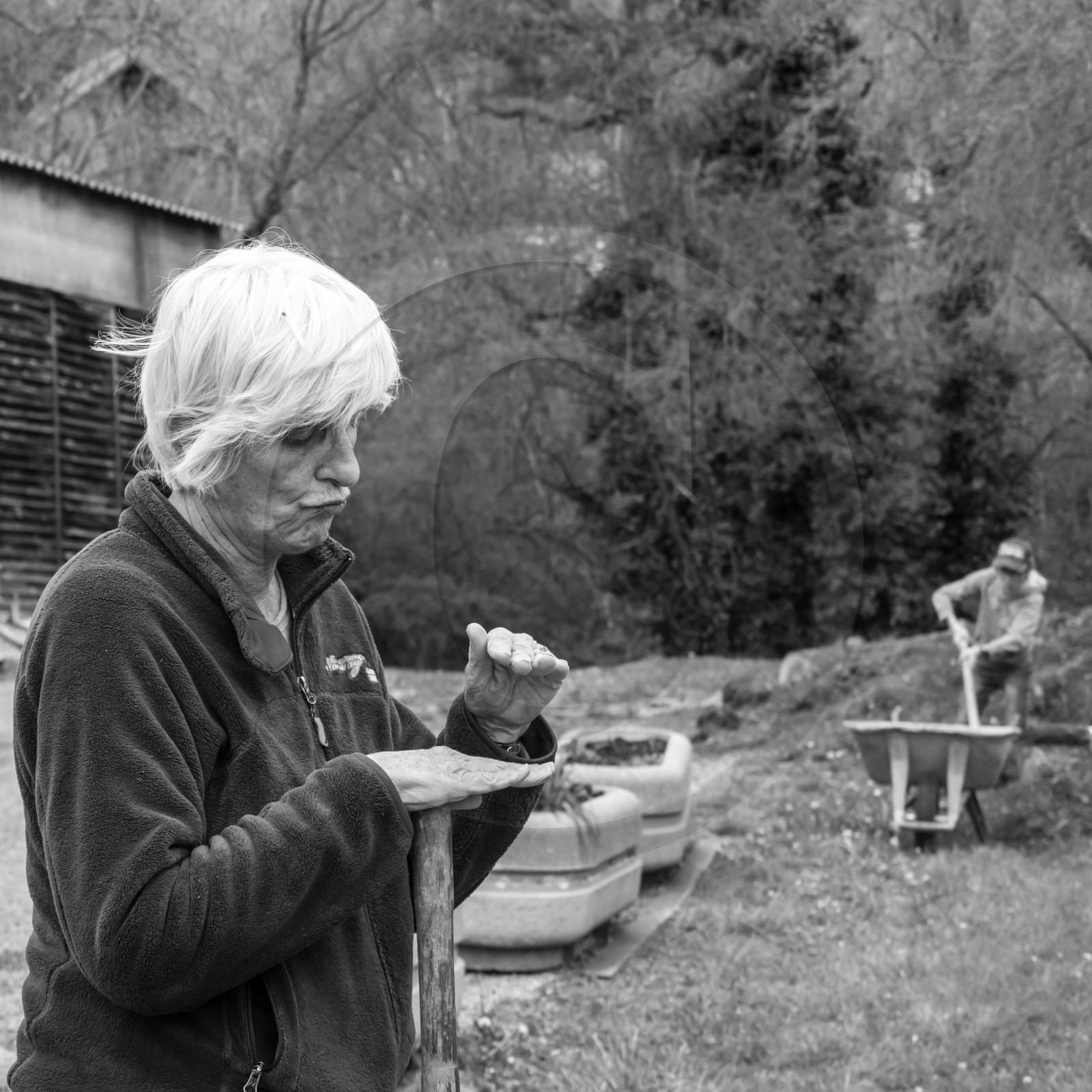 03 mai 2017 - Bac, semis et plantations