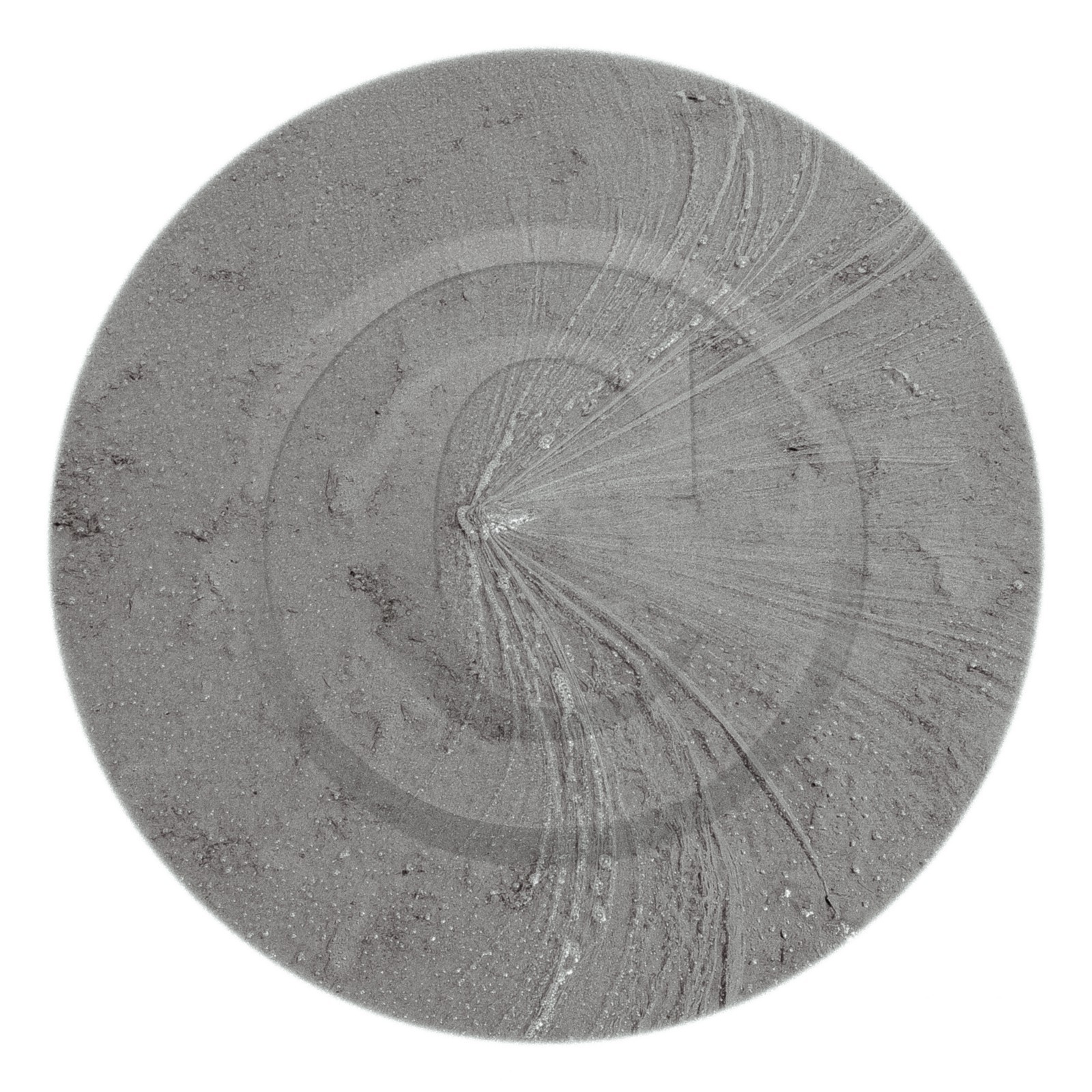 Les instants Camargue