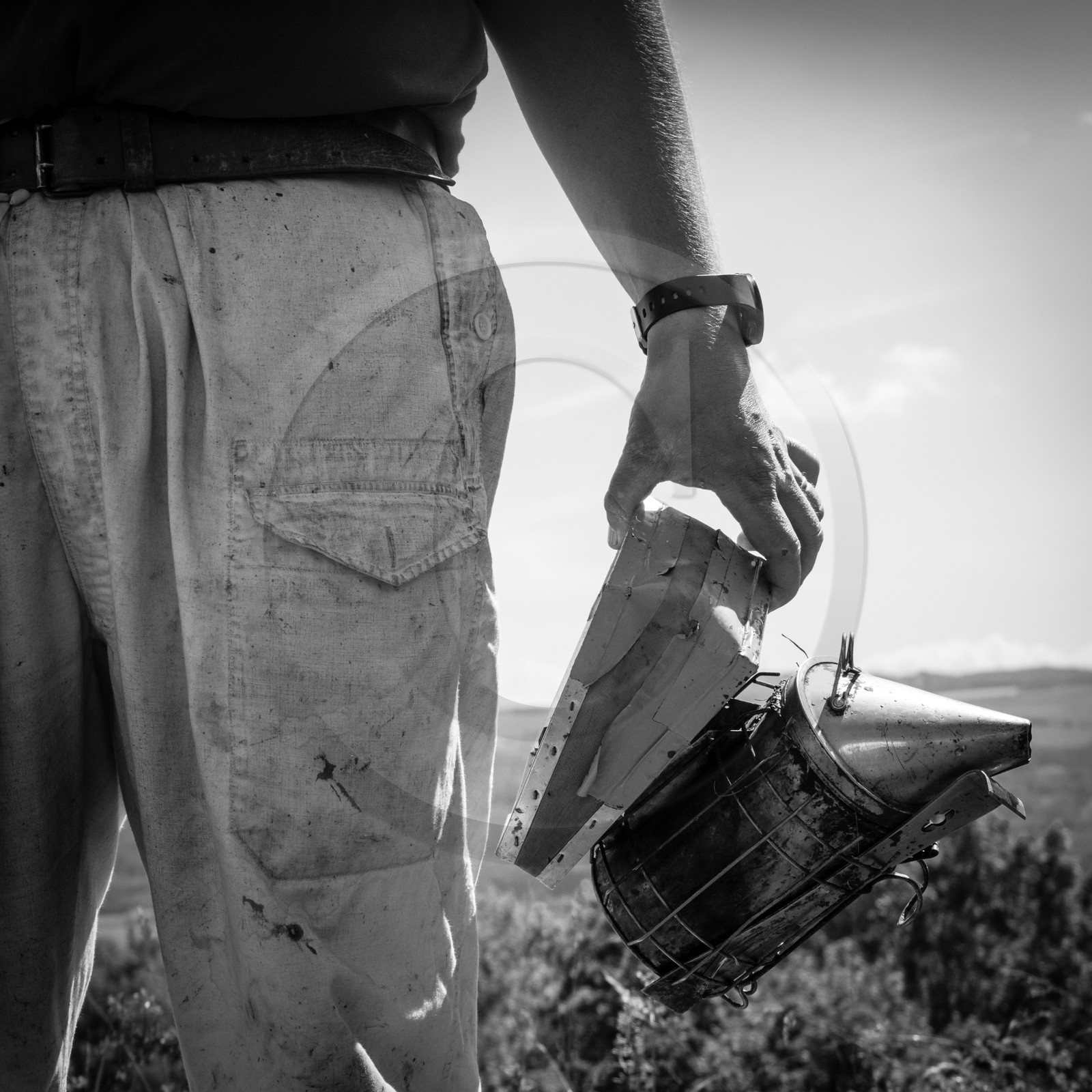 Visite au Rucher des Noisetiers