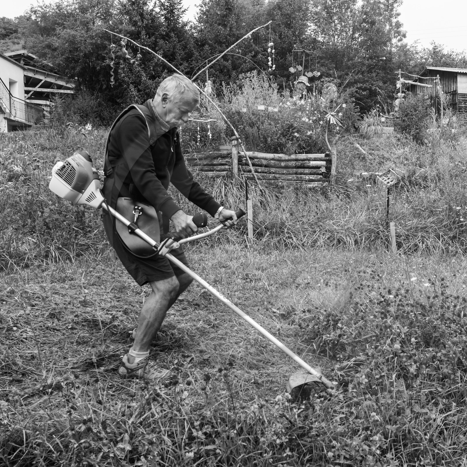 21 août 2019 : installation d'une oeuvre en bois flotté