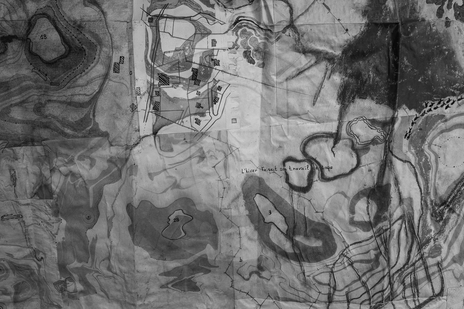 13 septembre 2023 : Osier et HydrOlique