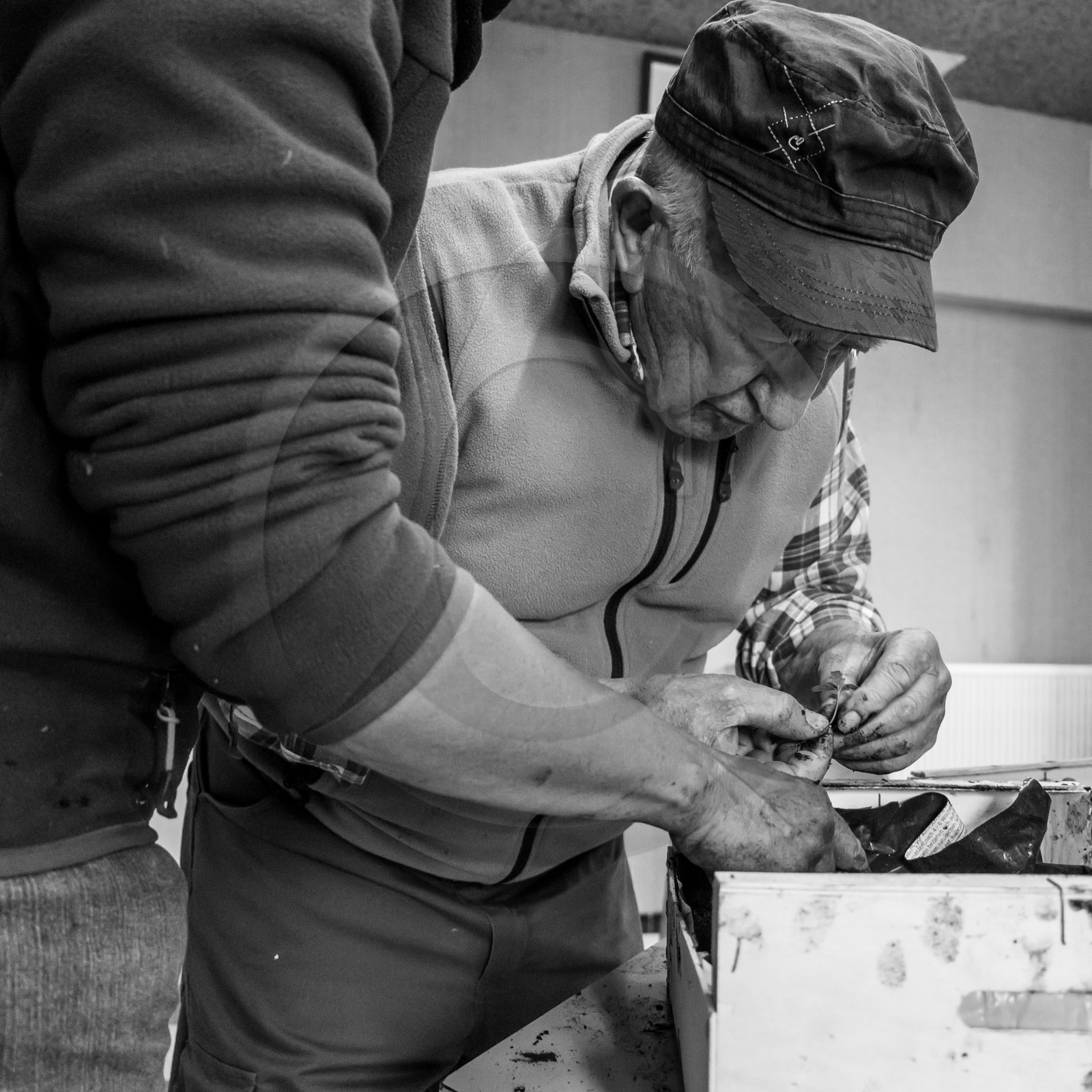 Atelier repiquage et semis - 26 04 2017