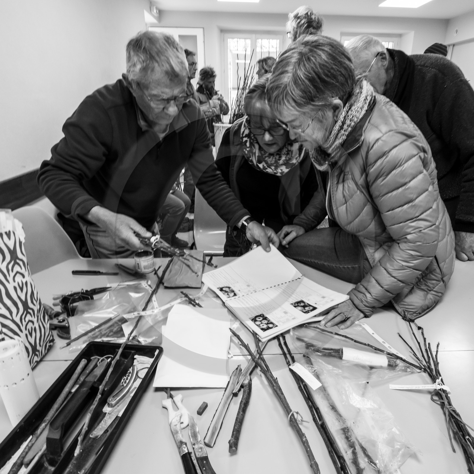 03 avril 2019 : Initiation à la greffe d'arbres fruitiers