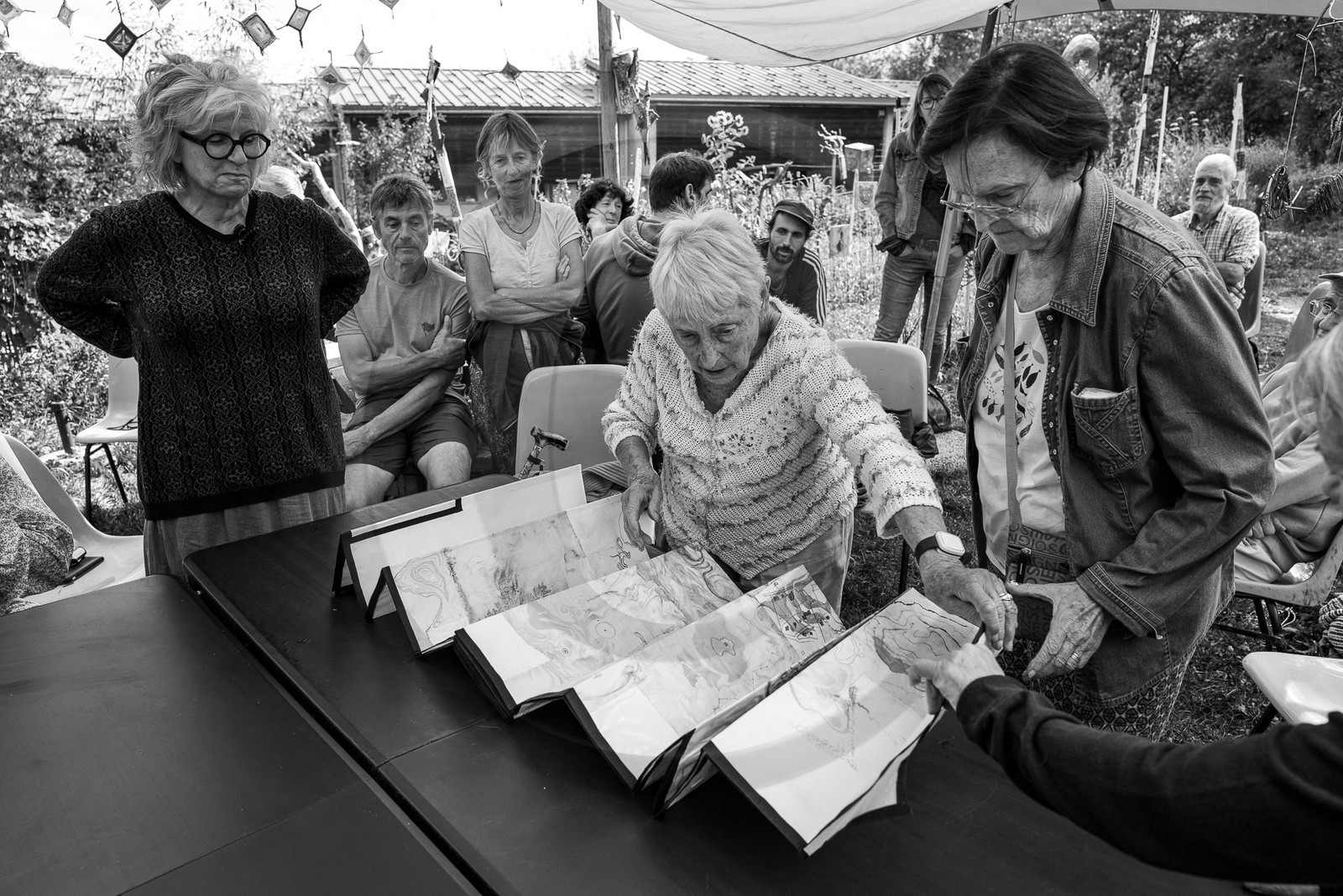 13 septembre 2023 : Osier et HydrOlique