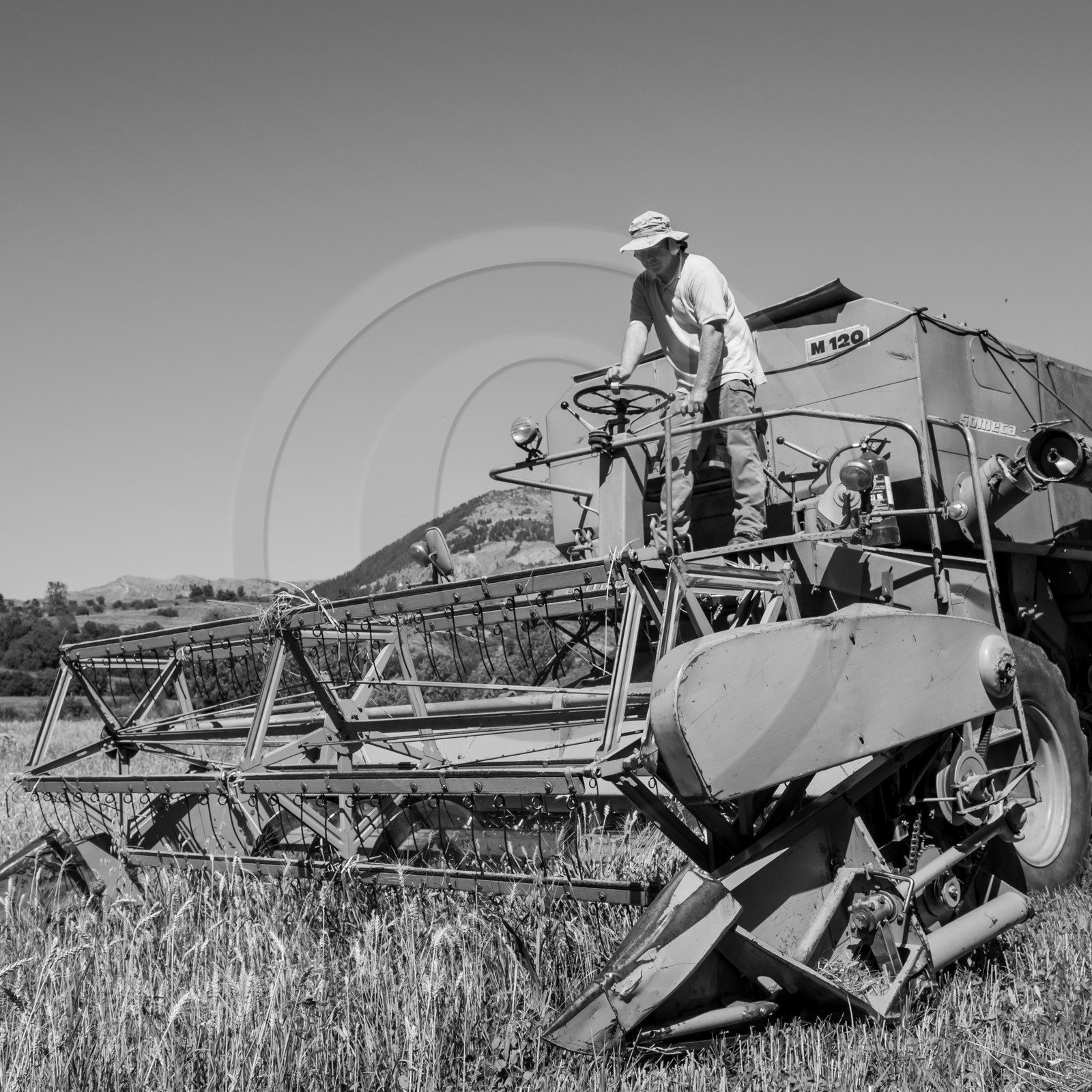 Les moissons dans le Champsaur