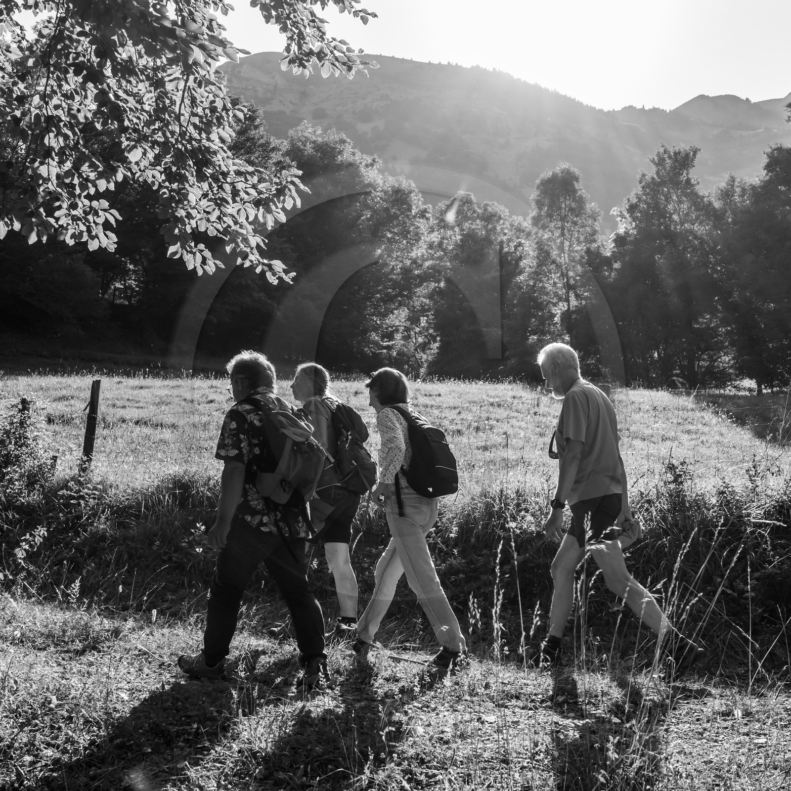 Arpenter le paysage avec Martin de la Soudière