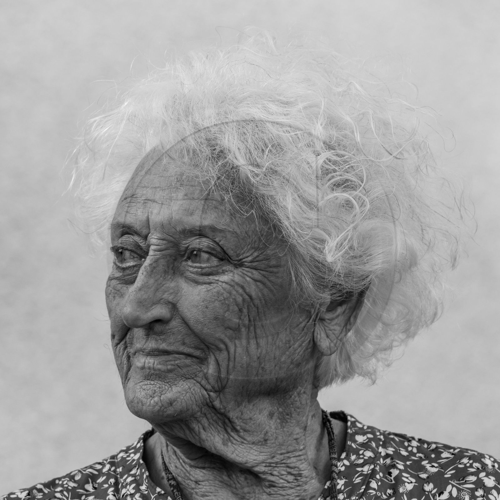 Sylvie Giono - Rencontres Giono 2021 - Manosque