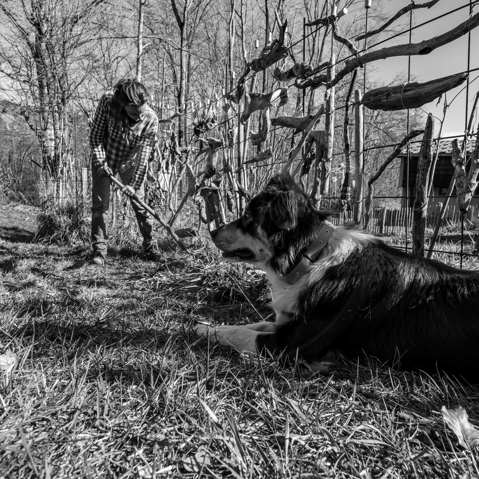 10 mars 2021 : on jardine, on fabrique des jeux
