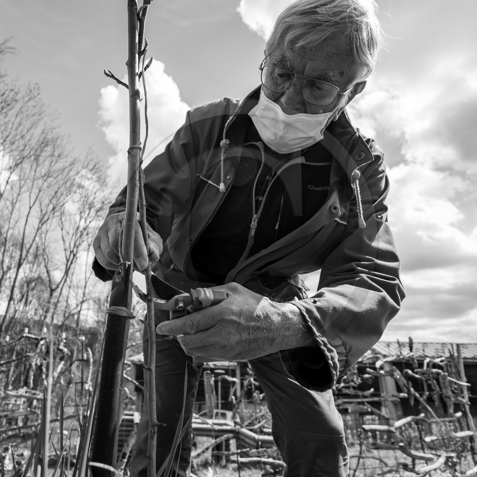 14 avril 2021 : collages, taille, jardinage