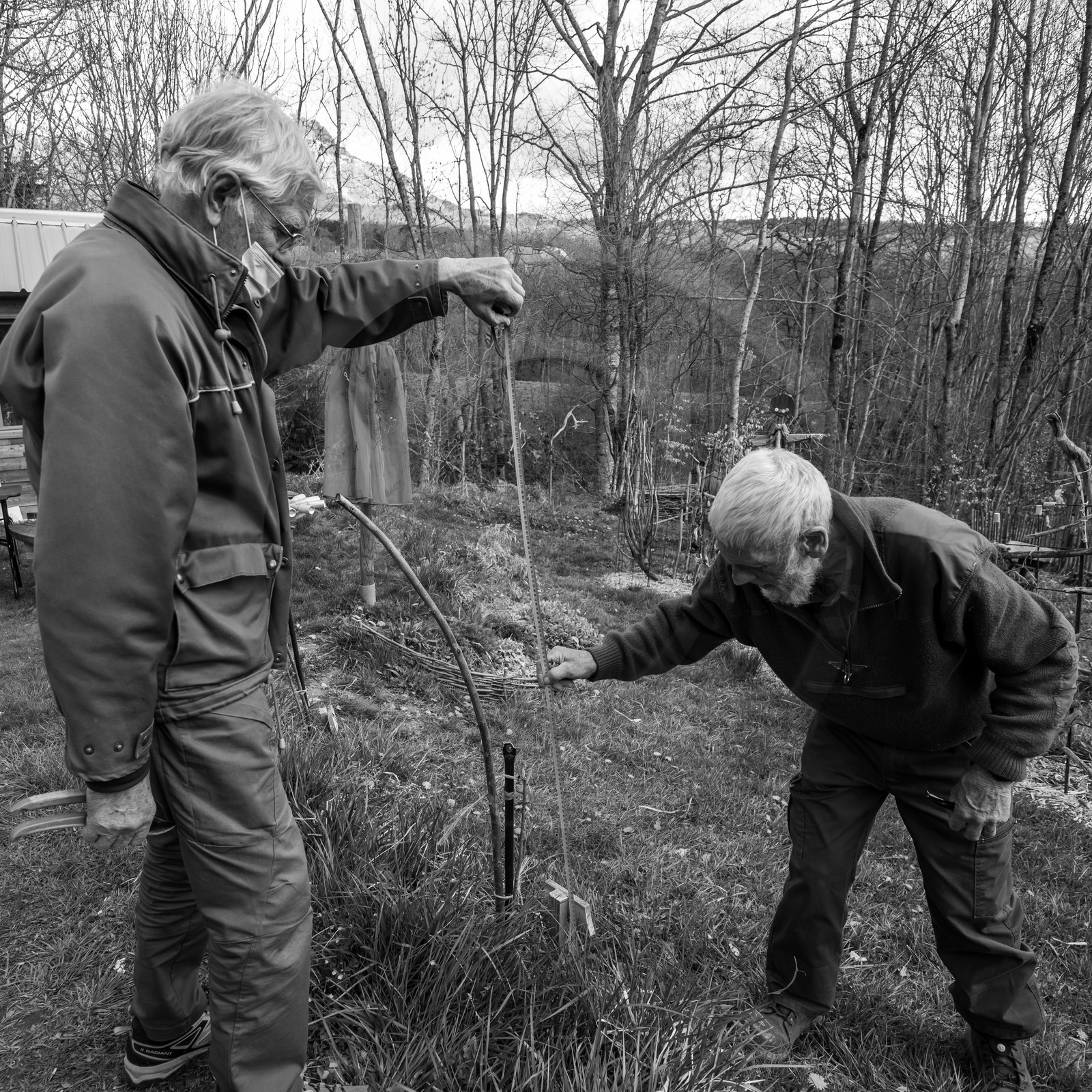 14 avril 2021 : collages, taille, jardinage