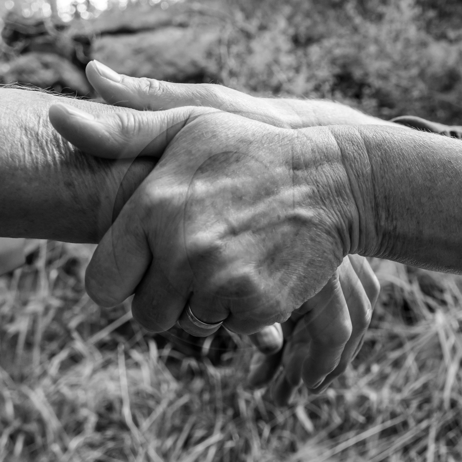 28 juin 2021 : Journée des aidants à l'Ouort.