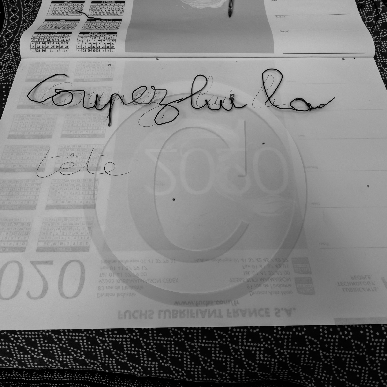 Festival l'Echo des mots