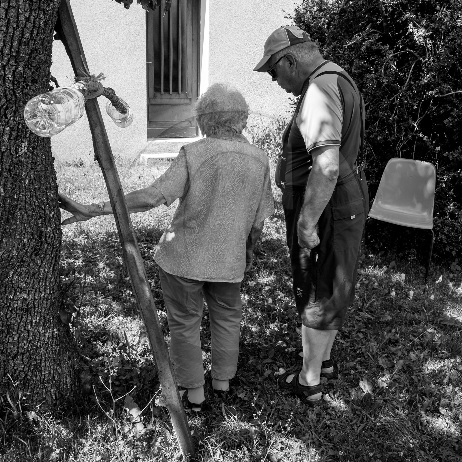 21 juin 2017 - Installation des épouvantails