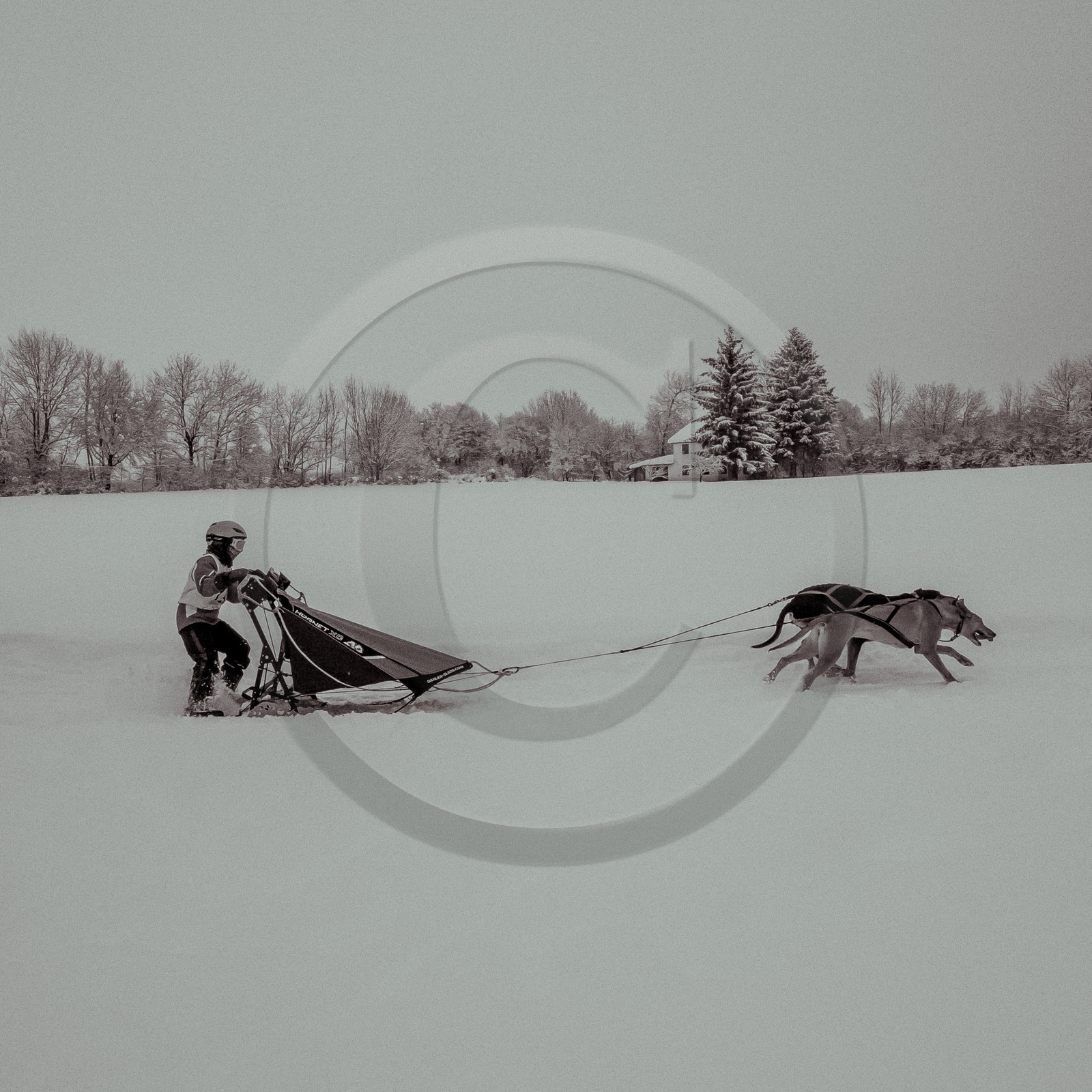 La Valgaude Traineau 2015