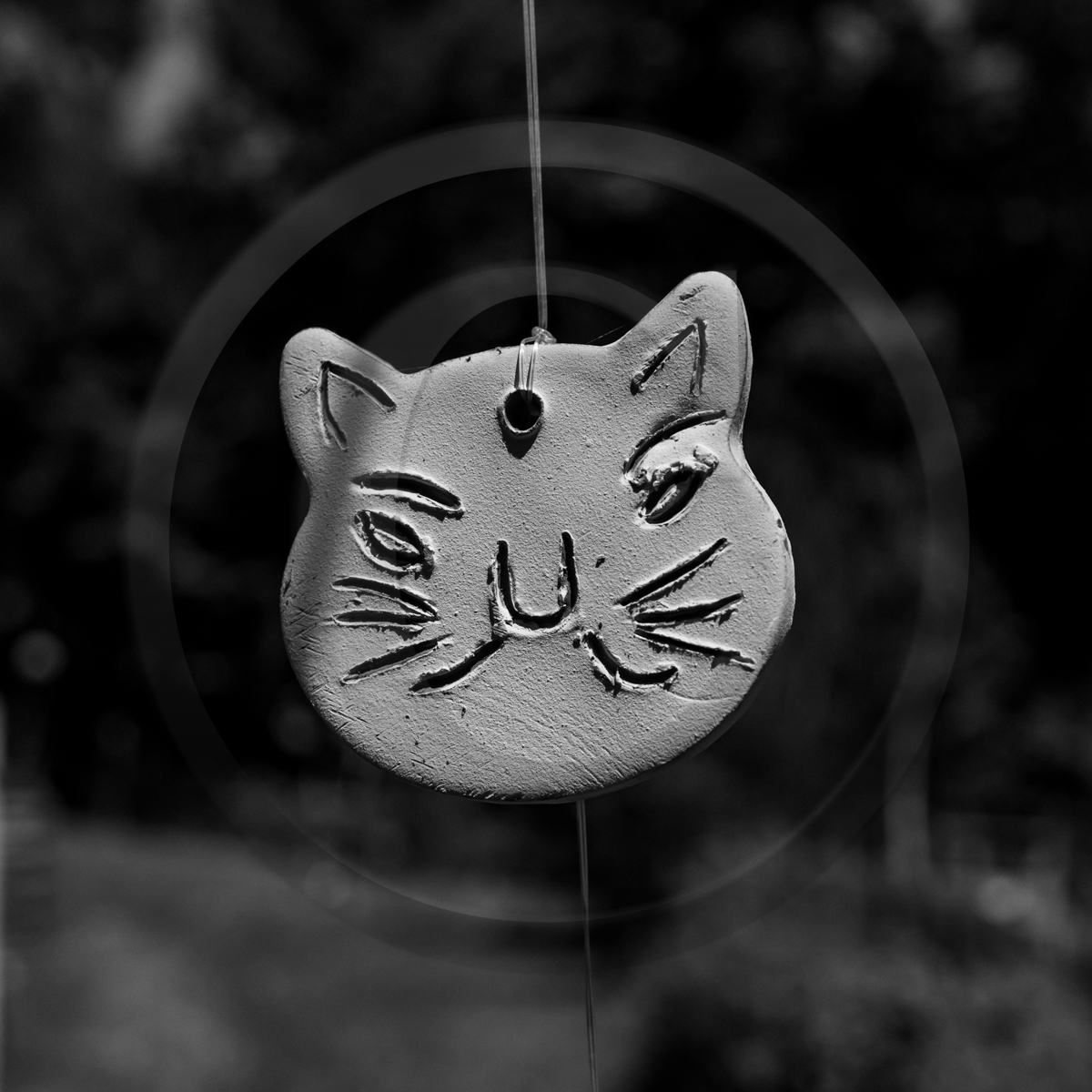 La cantine de Bernie