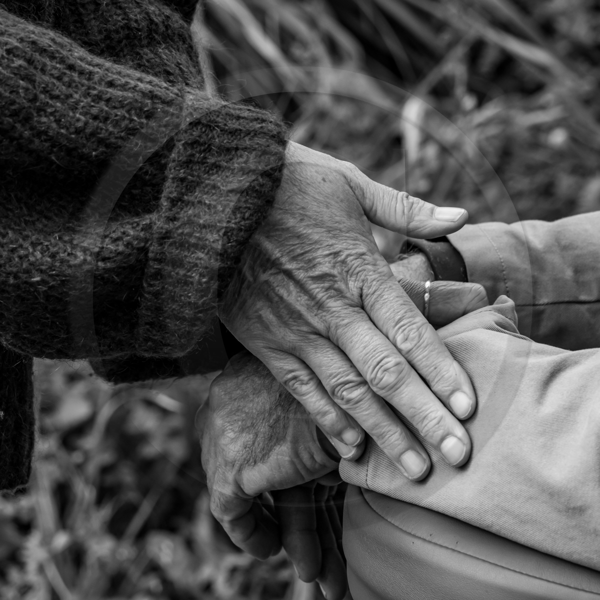 14 octobre 2022 : journée des aidants et des aidés