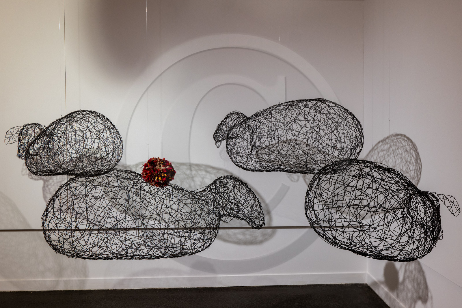 Expositions à la maison du Berger - Champoléon