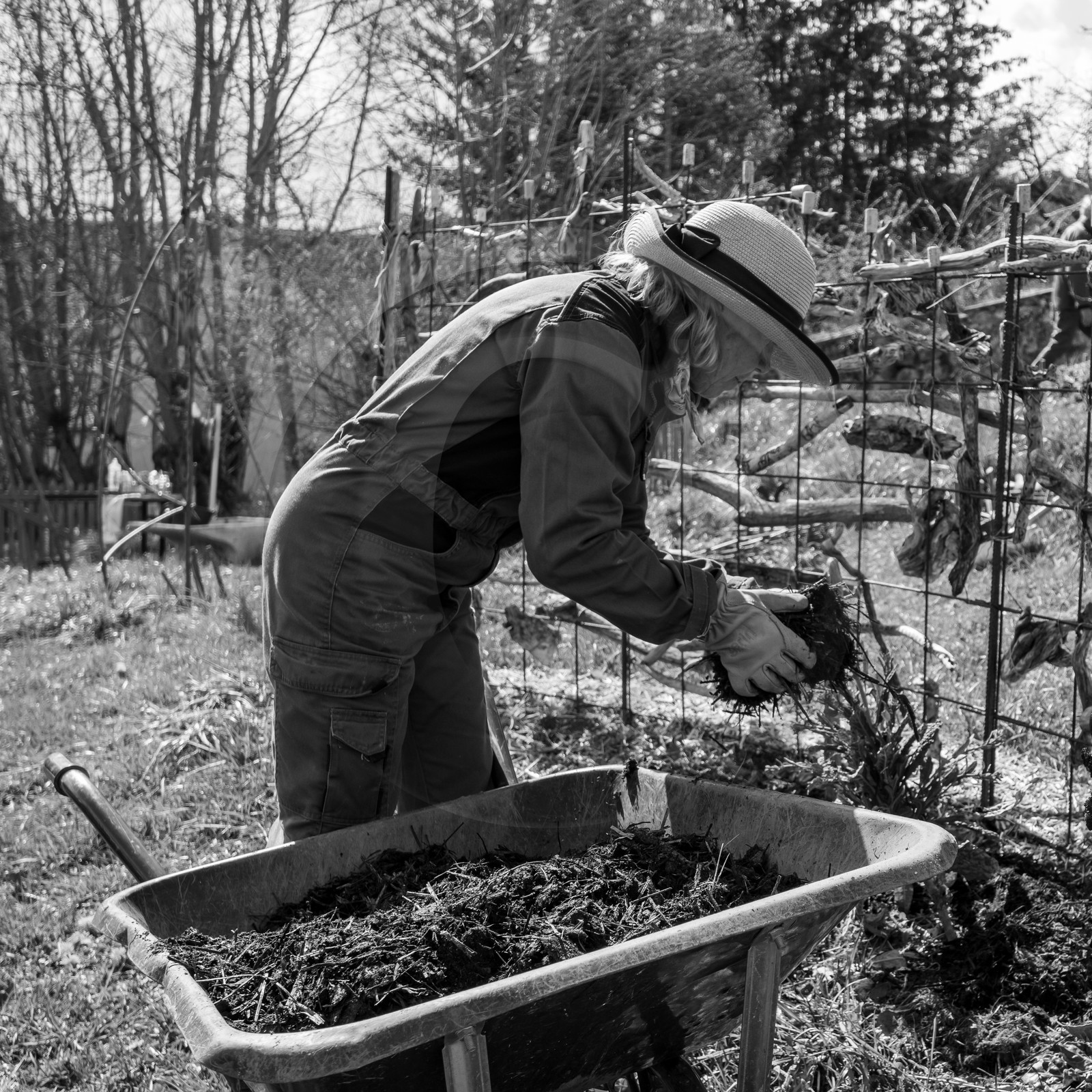 14 avril 2021 : collages, taille, jardinage