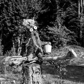 23 août 2017 - Animations