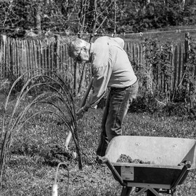 30 avril 2025 : Un oiseau en osier