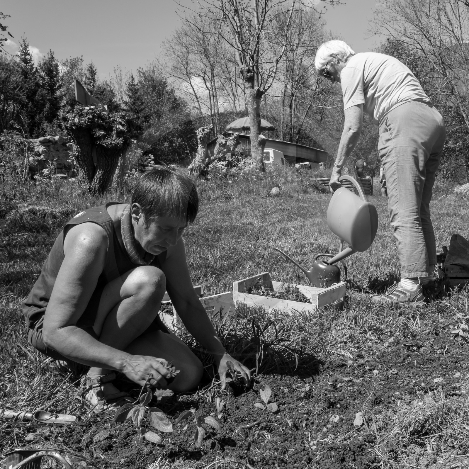 31 mai 2017 - Jardinage