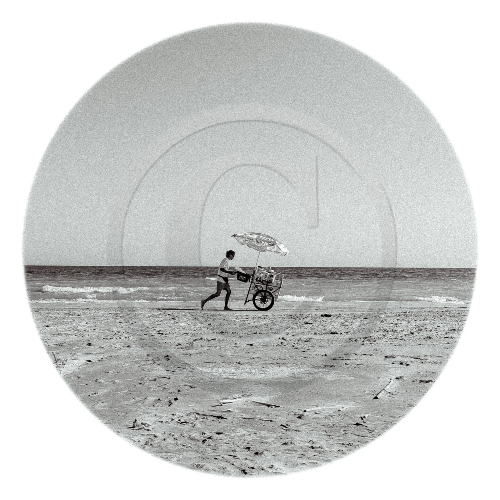 Les instants Camargue