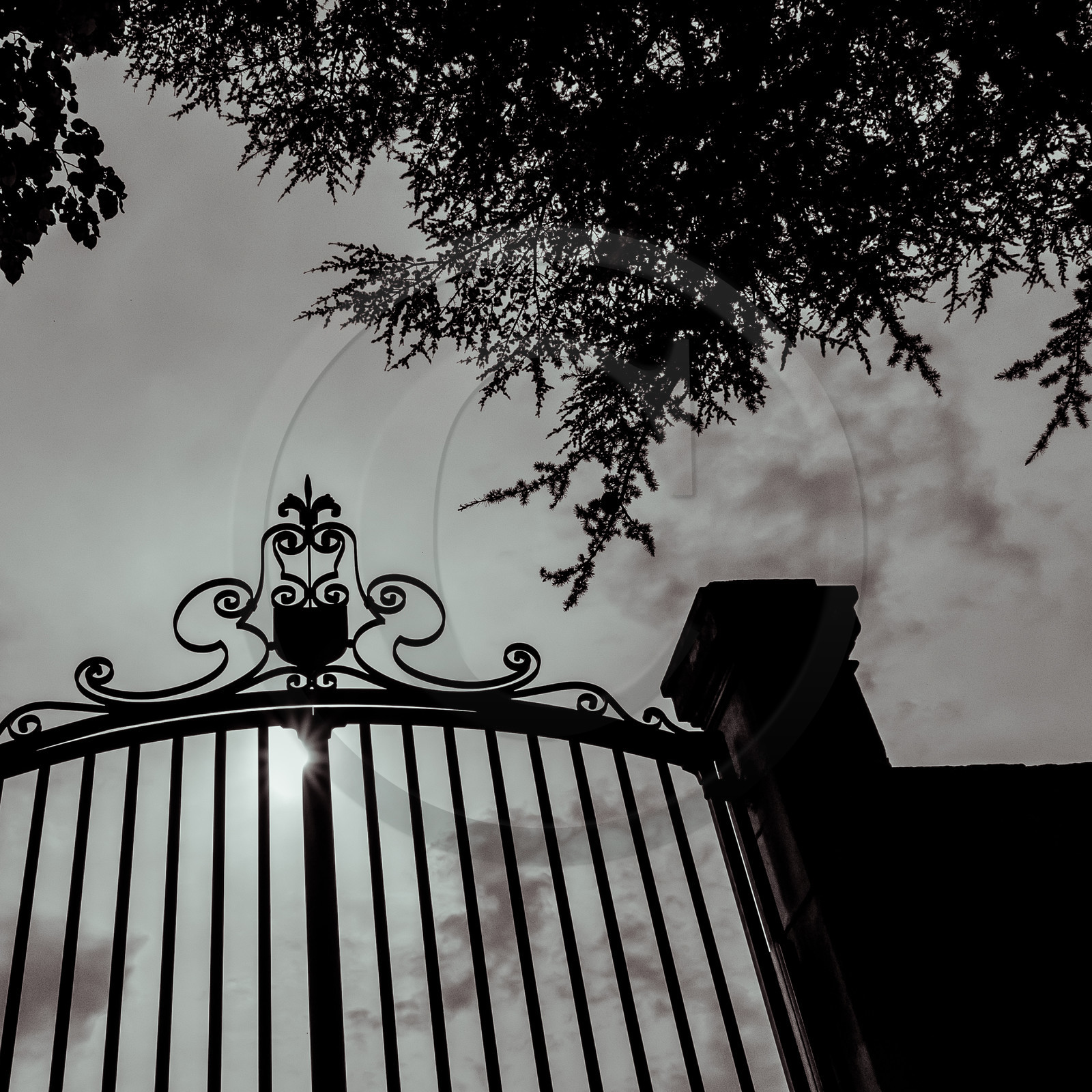 Le Château de Montmaur