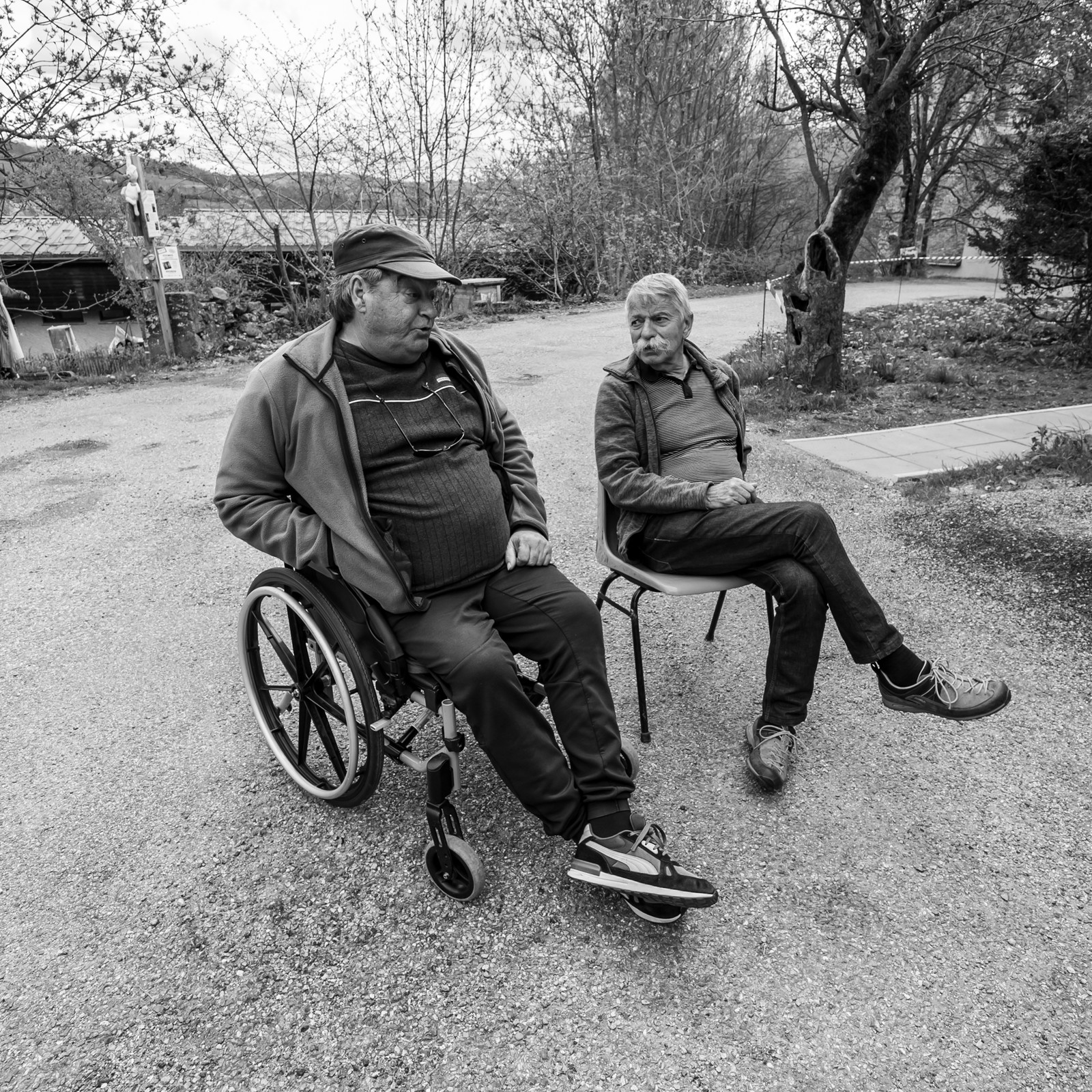 23 avril 2025 : Des oiseaux et des plantes