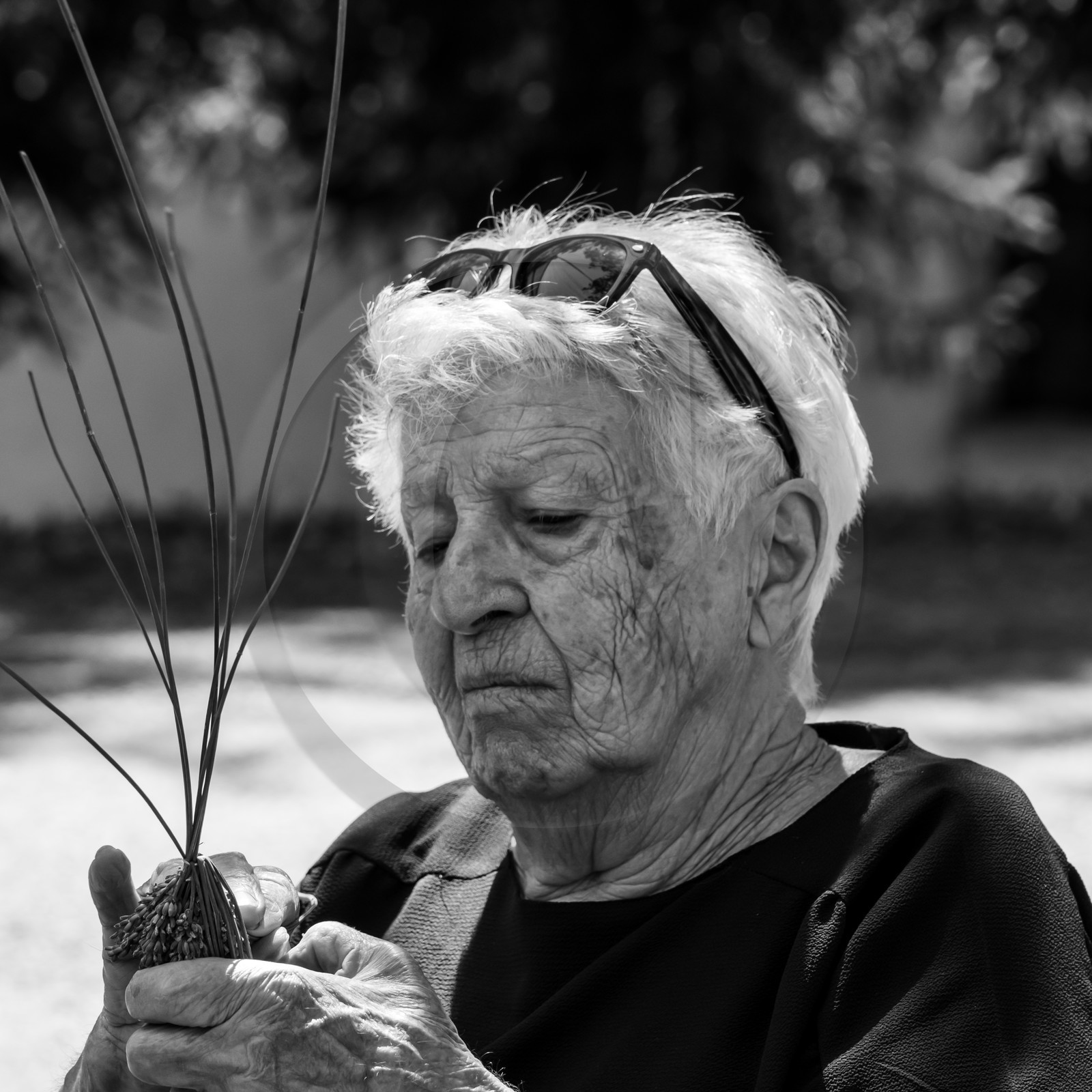 Atelier Fuseaux de lavande