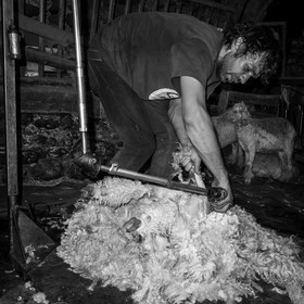 Le mohair arc en ciel