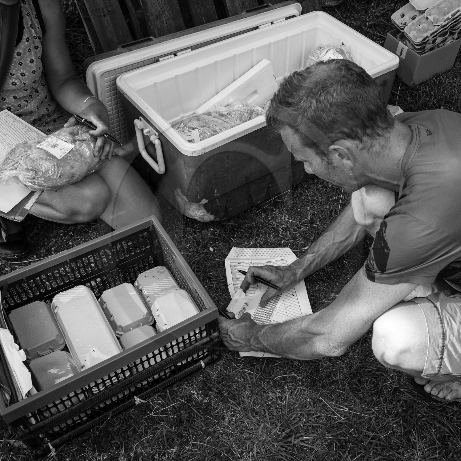 Distribution à l'AMAP du Champsaur