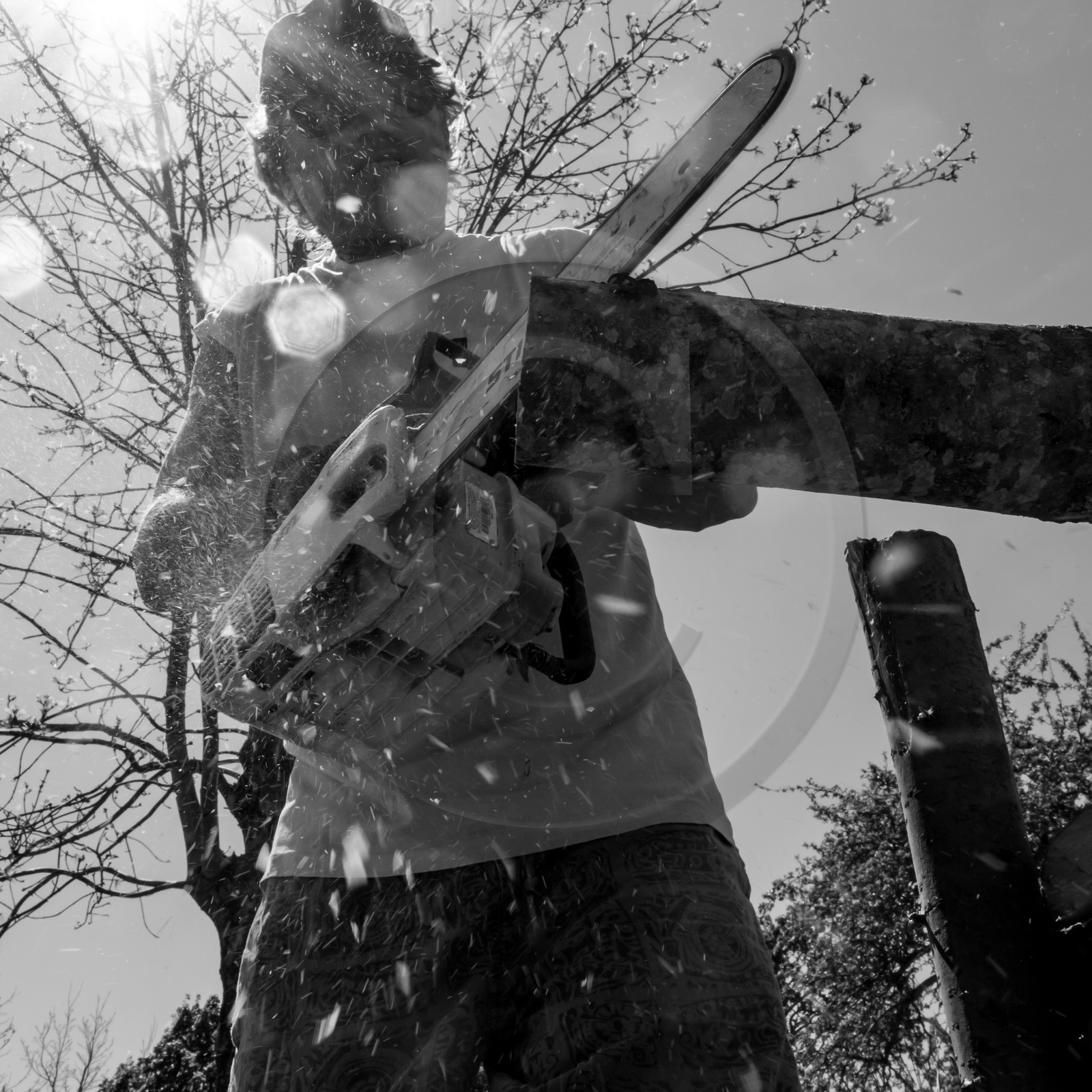 31 mai 2017 - Jardinage