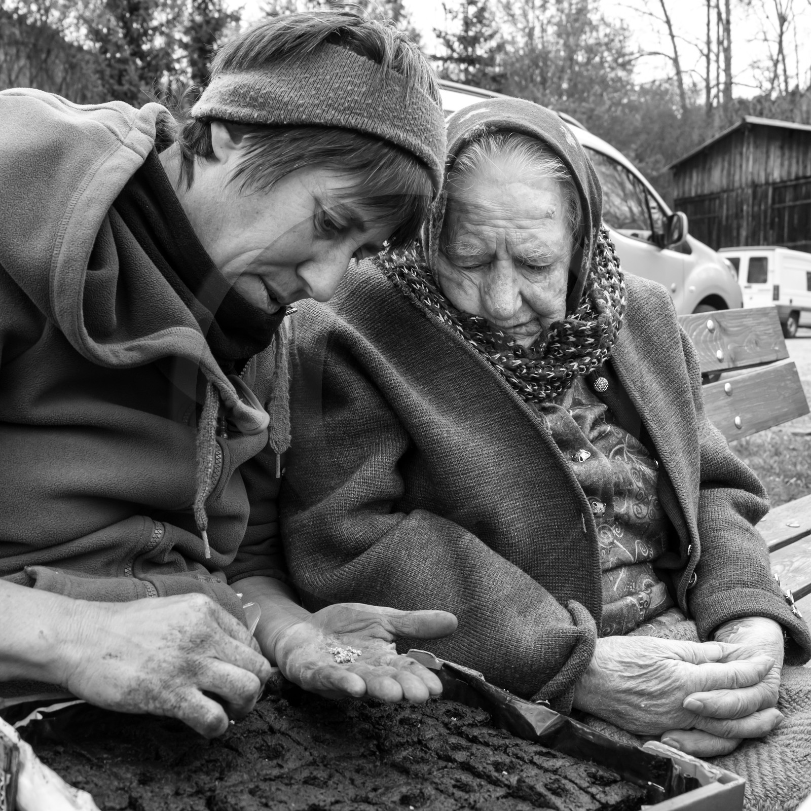 03 mai 2017 - Bac, semis et plantations