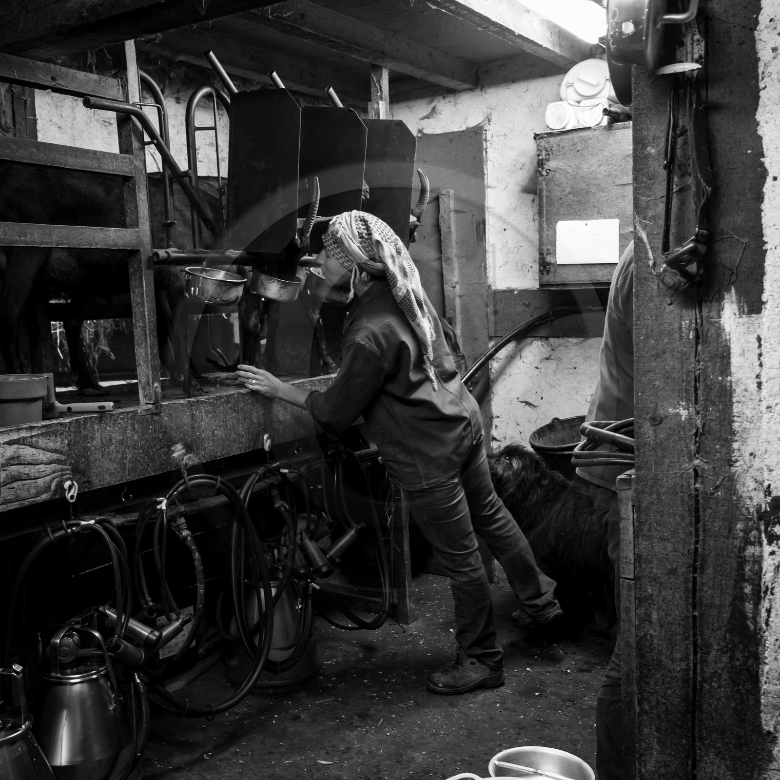La ferme de Coste Joffre