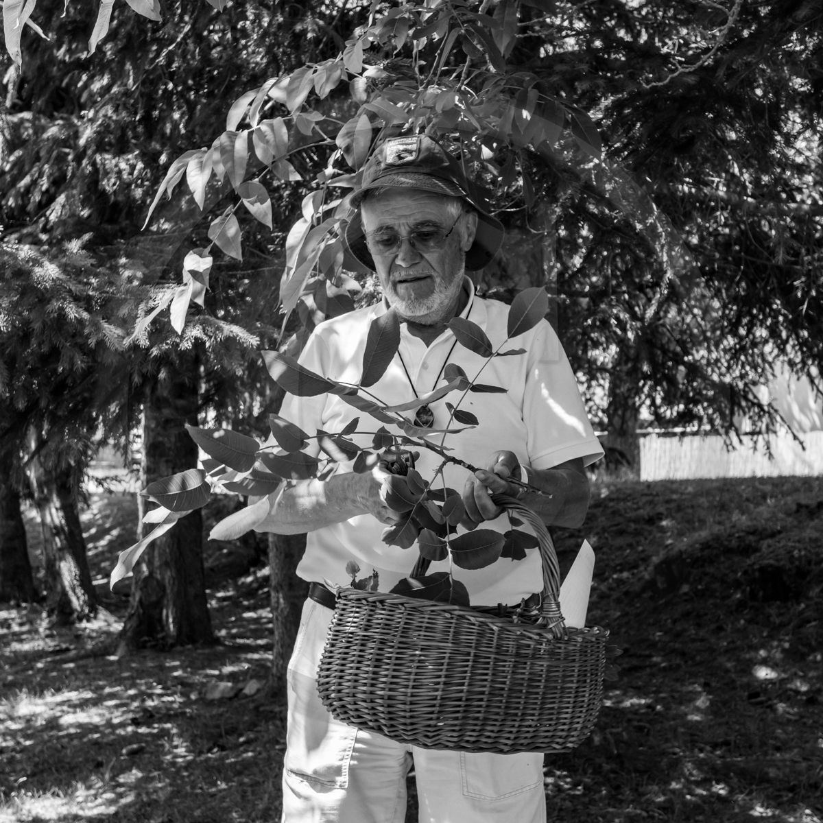 29 juin 2022 : Découverte des plantes sauvages