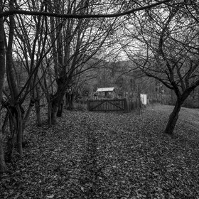 10 novembre 2021 : Une réunion et des crêpes