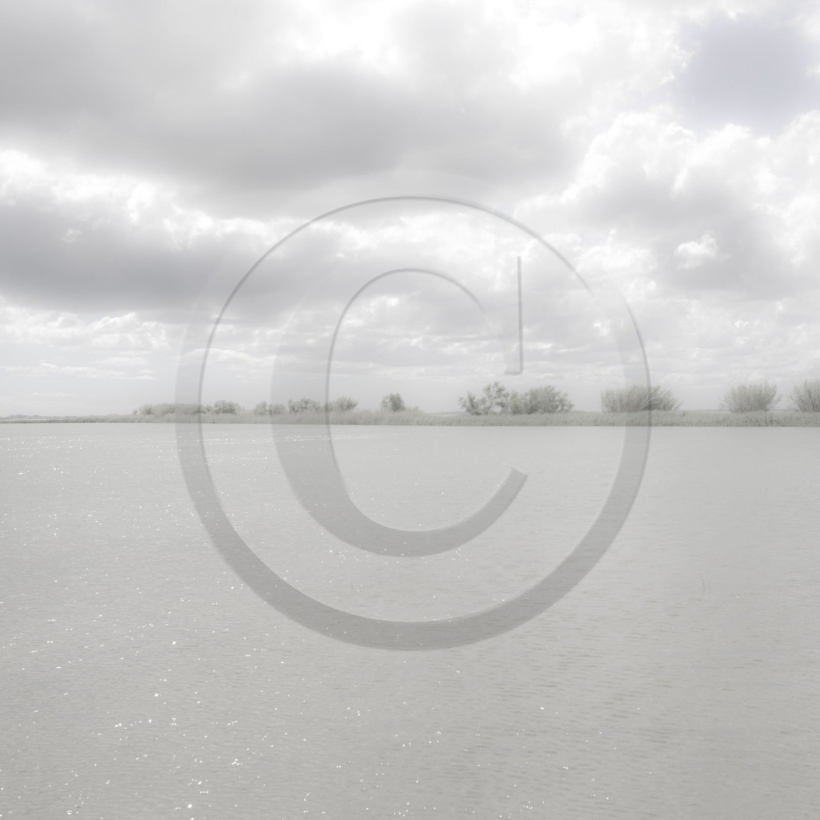 Camargue couleur pastel