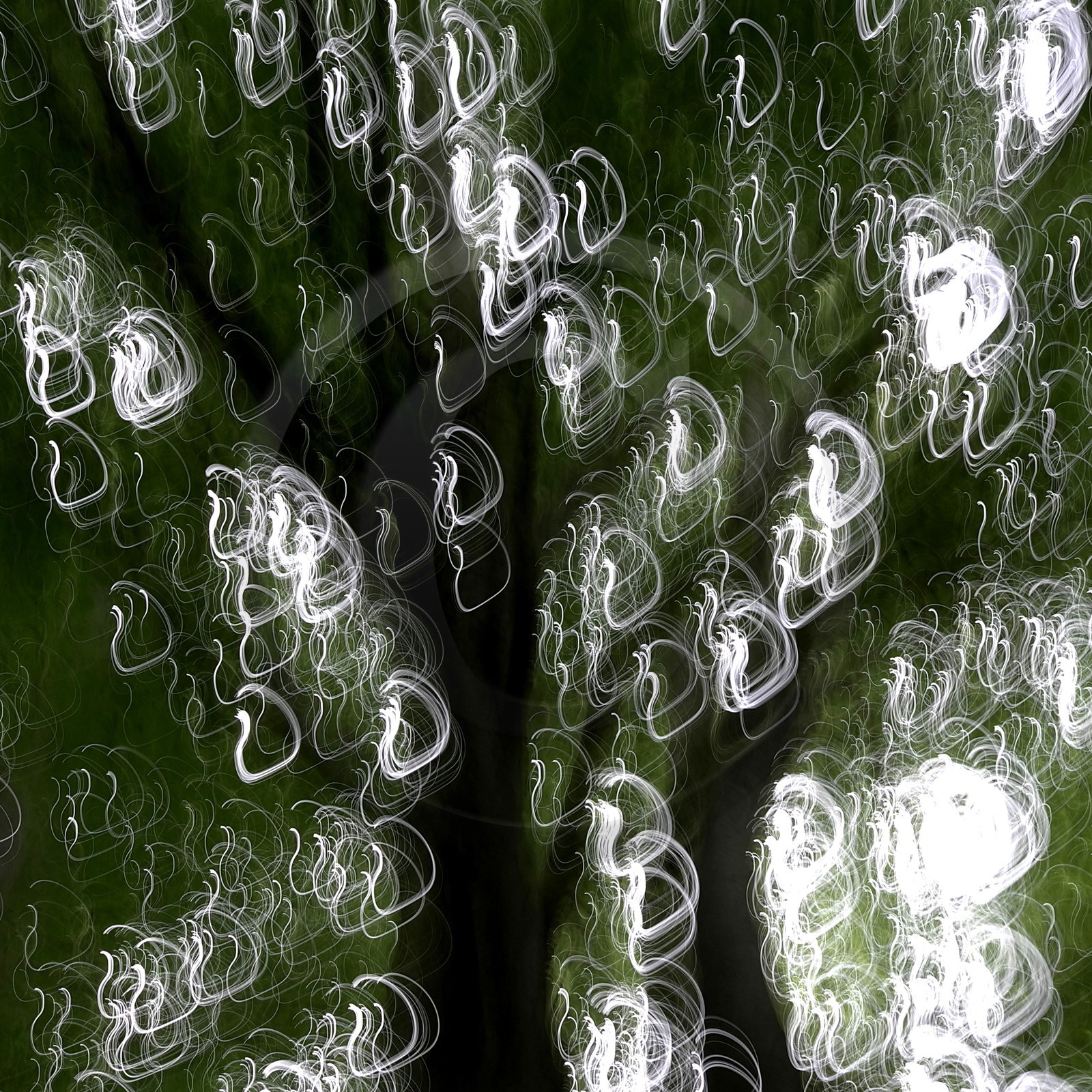 Le Pays des Arbres Flous