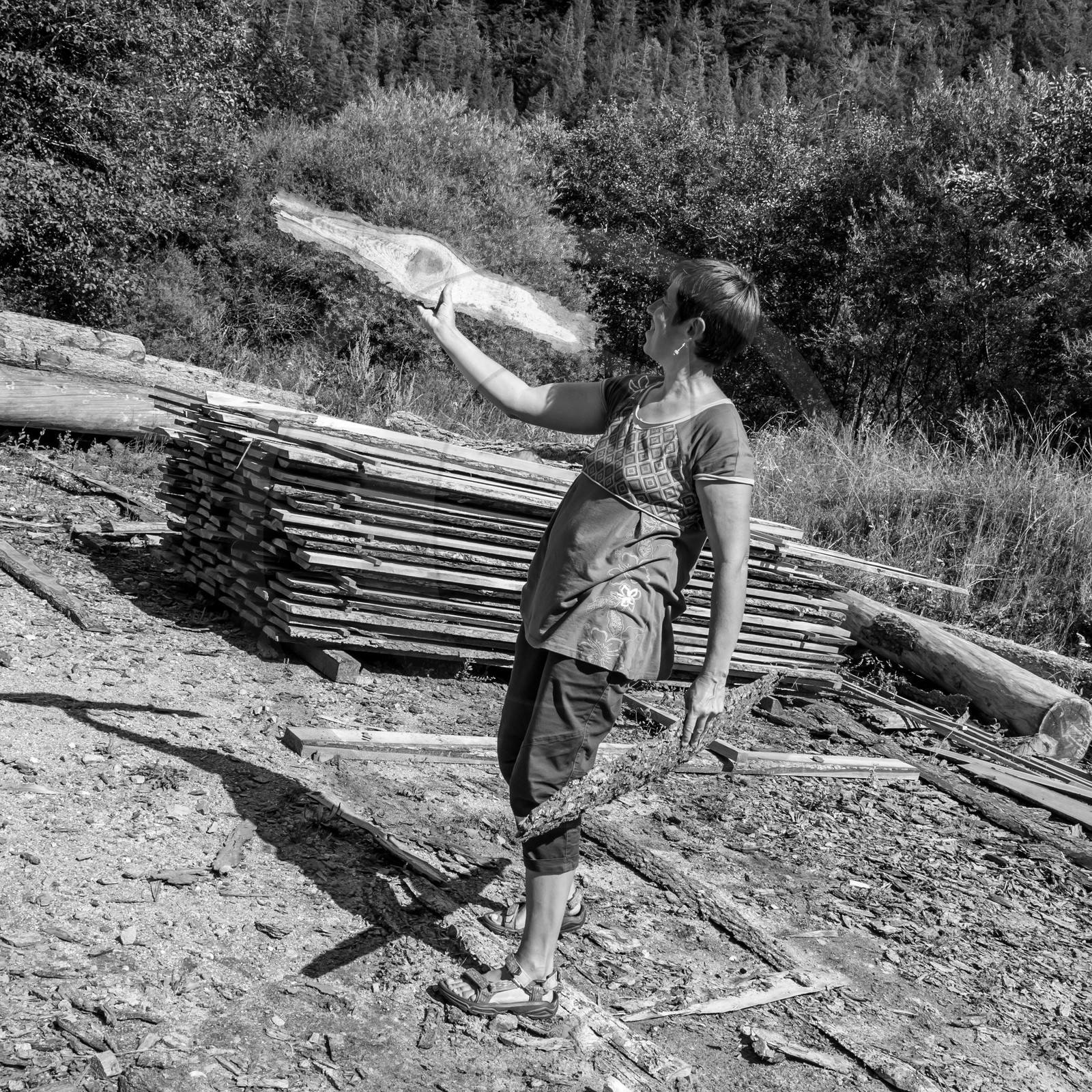 09 août 2017 - Scie mobile