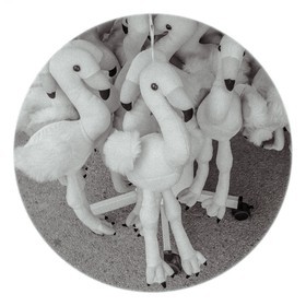 Les instants Camargue