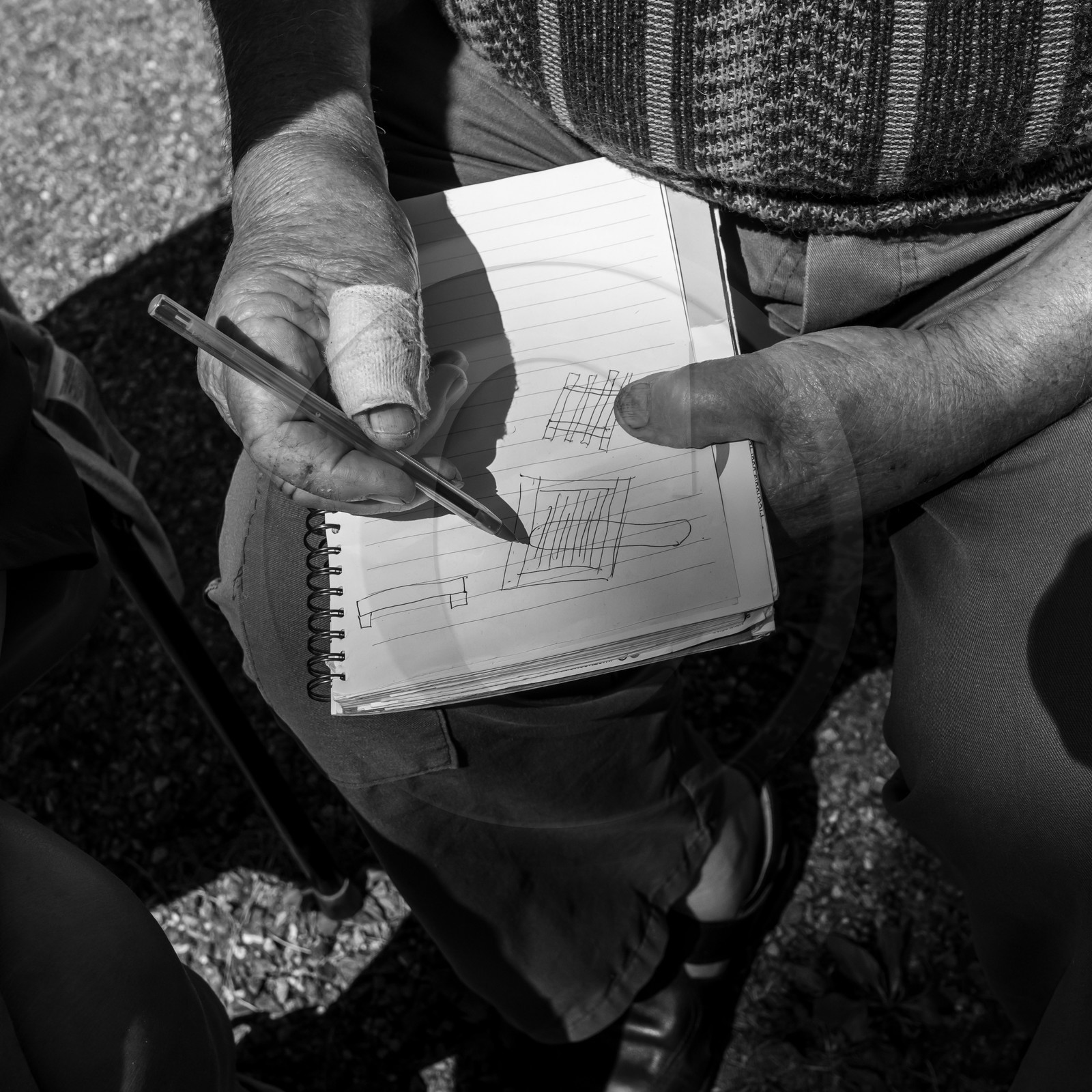 Activités au jardin