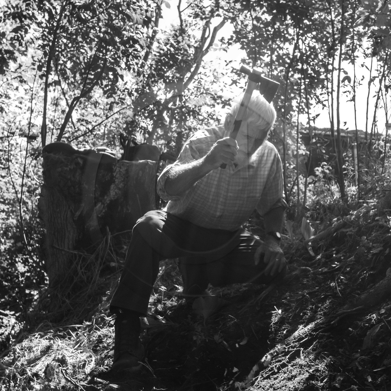 Activités au jardin