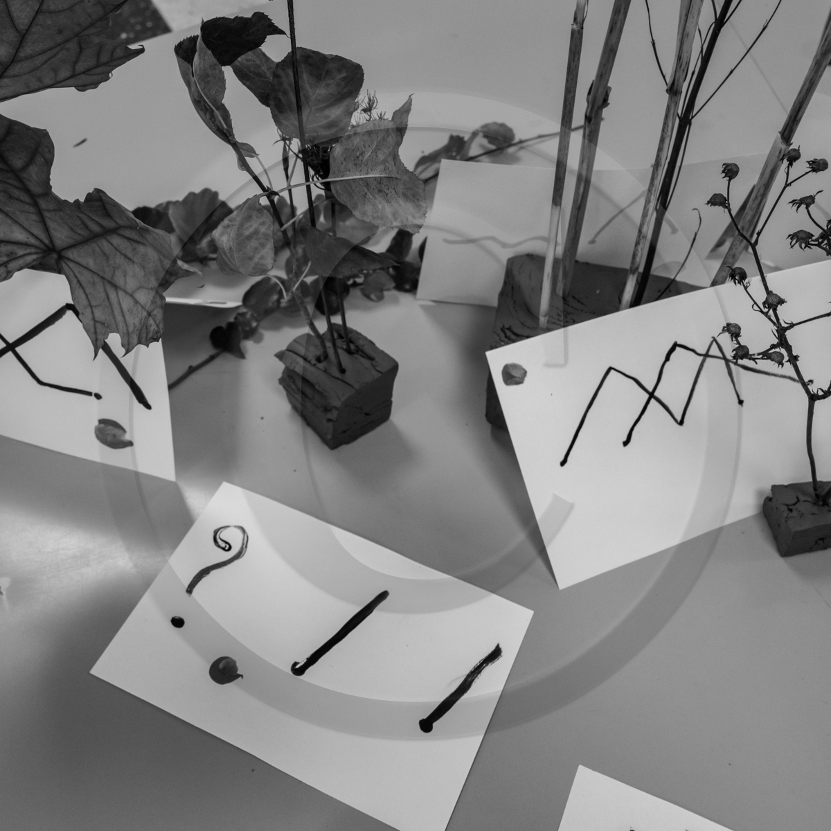 14 octobre 2022 : journée des aidants et des aidés