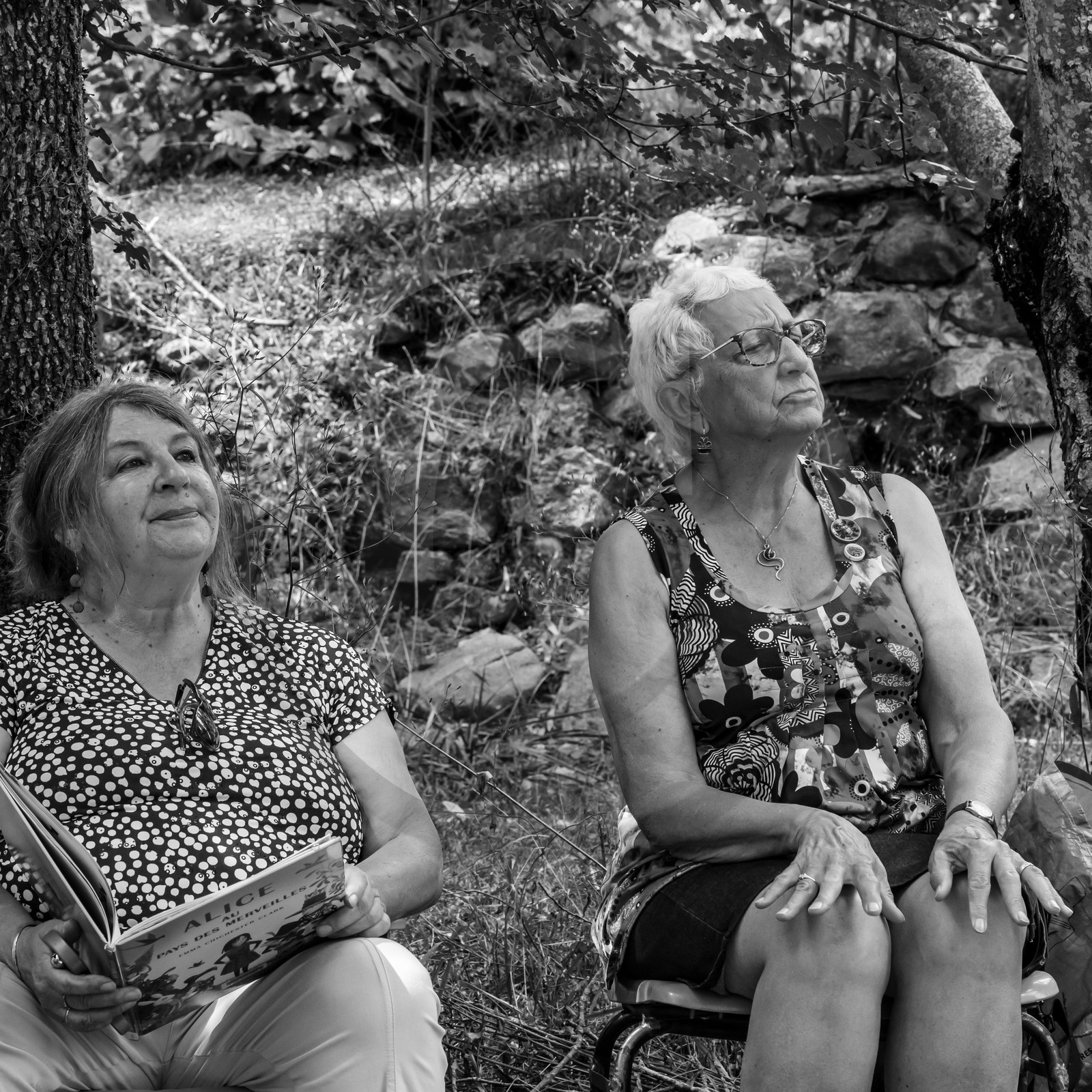 Contes Alice au pays des merveilles