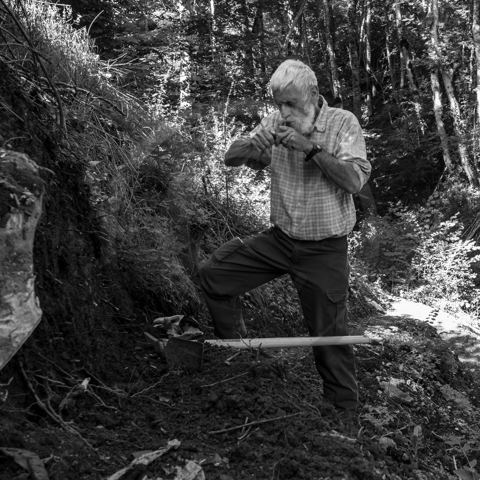 Activités au jardin