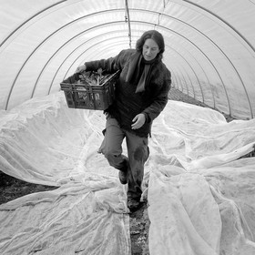 Sophie Jaussaud, maraichère à Ancelle