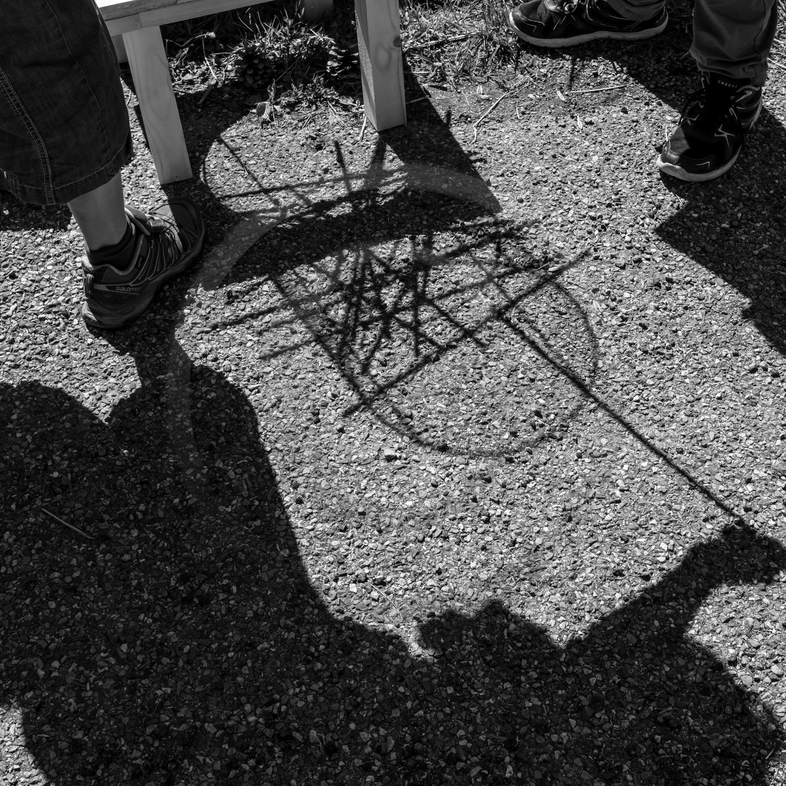 Des jeux avec le Lycée Sévigné