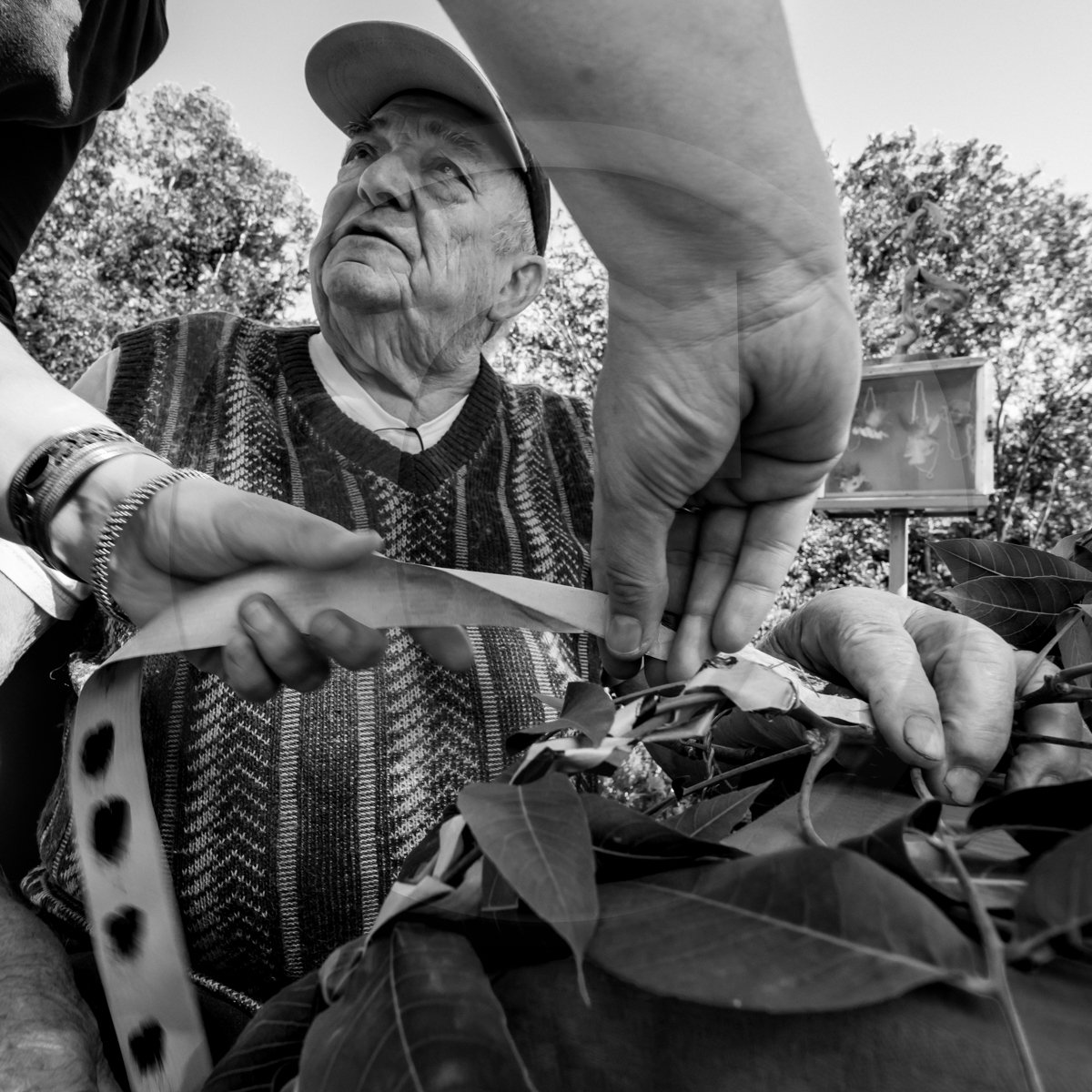 09 septembre 2022 : Journ&ée des aidants et des aidés